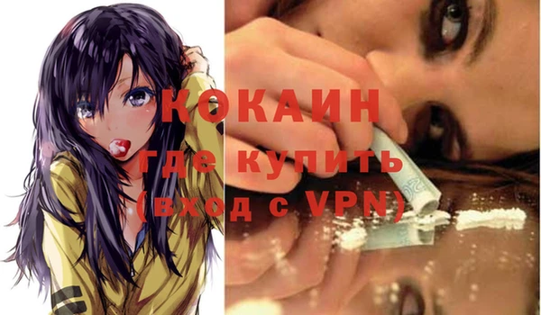 винт Абаза