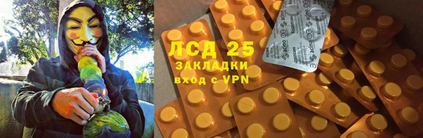 винт Абаза