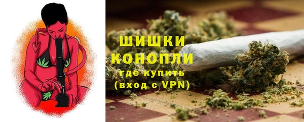винт Абаза
